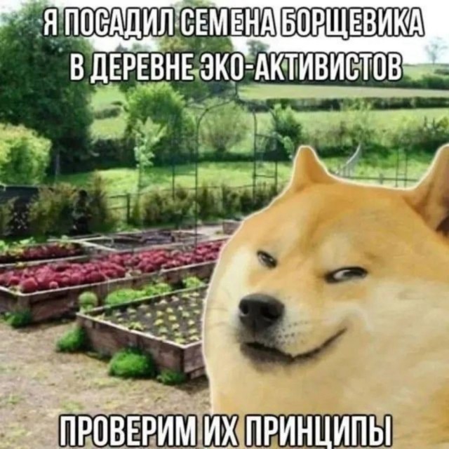 Деградация