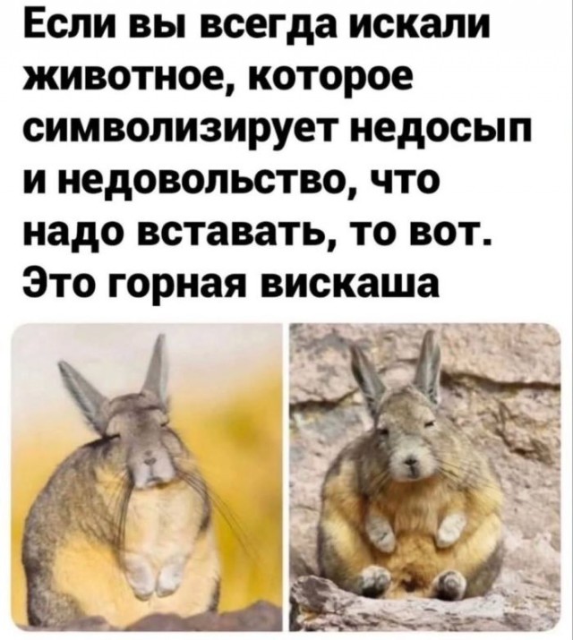 Картинки для деградации 119 (разной степени свежести)