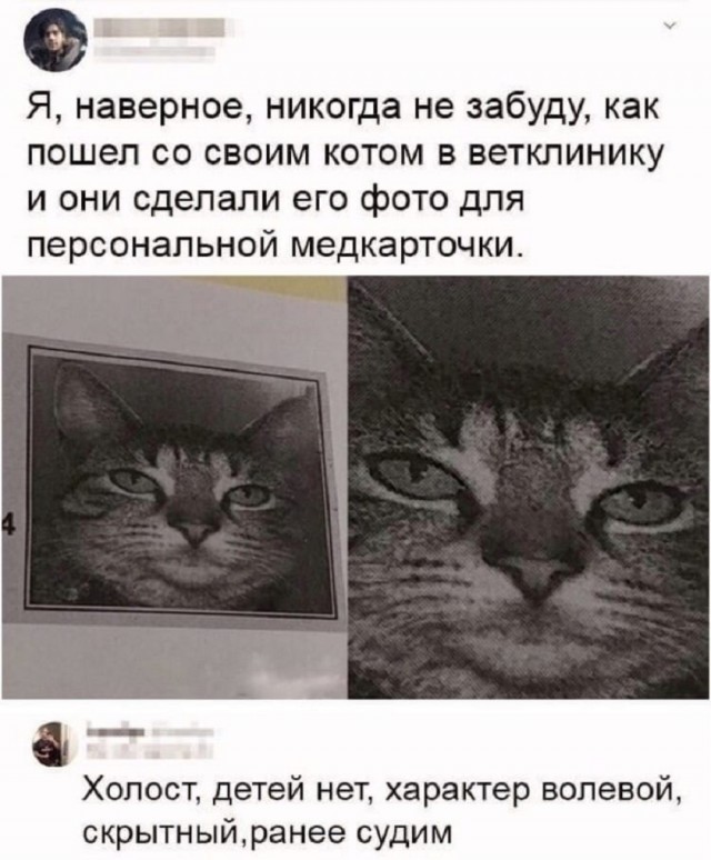 Так себе картинки 10.02.26