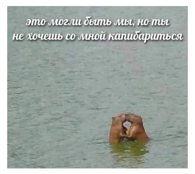 Немного е*анины на среду