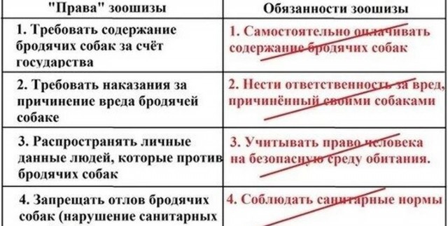 Артемия Лебедева  массово критикуют в соцсетях из-за слов о бездомных собаках