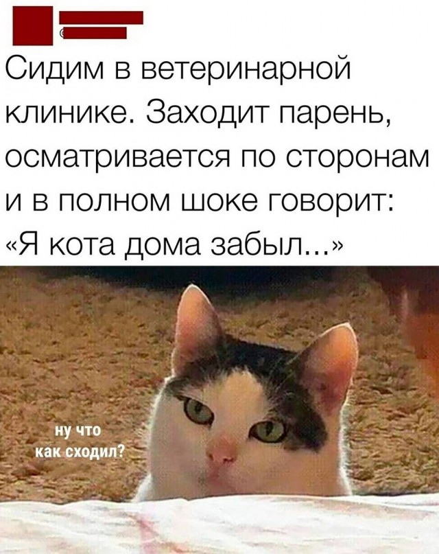 Картиночки, баянчики 12 марта