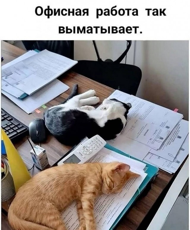 Картинки для деградации 178 (разной степени свежести)