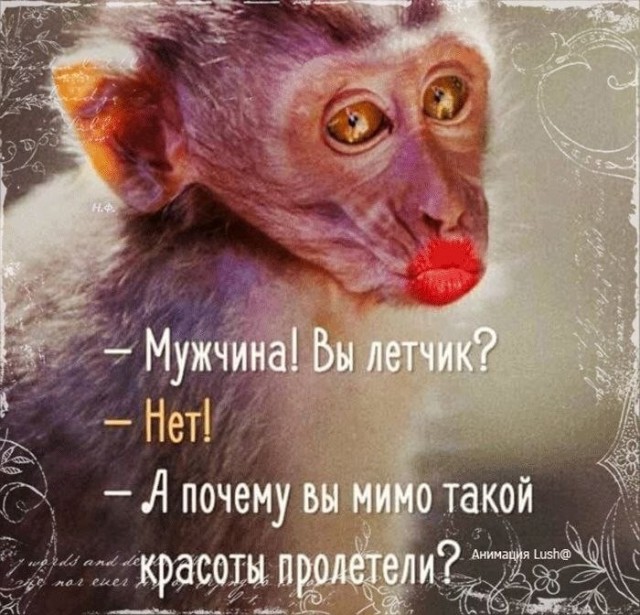 Картинки для деградации 198 (разной степени свежести)