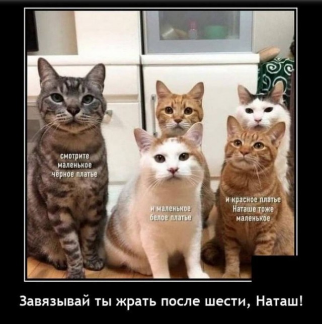 Найди себе уже мужика, Наташа!