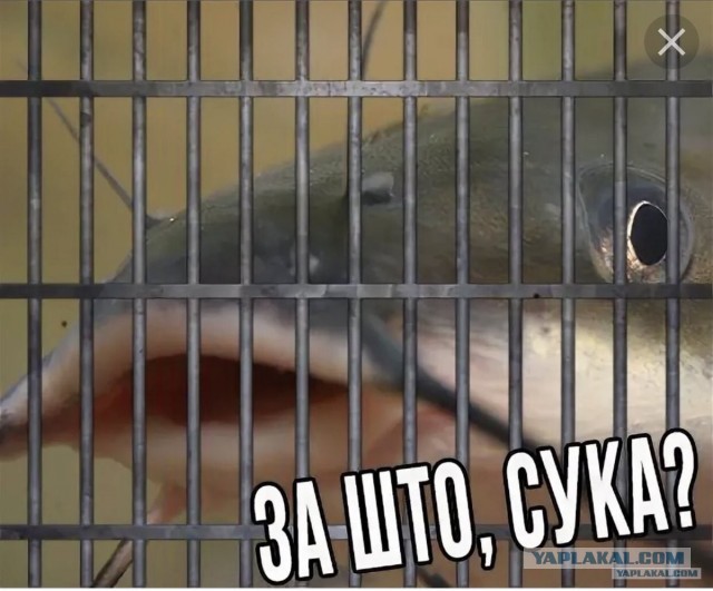 Метро взыскало 315 тысяч с мужчины, который упал на пути