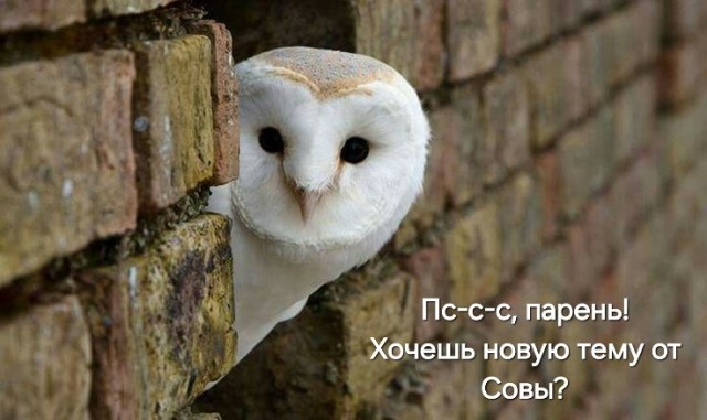 Коллекционные ведёрки со знаковыми местами Москвы появились в кинотеатрах