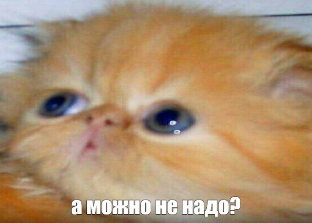 Богиня благословляет чёртика