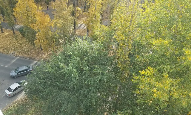 Год назад и сейчас.