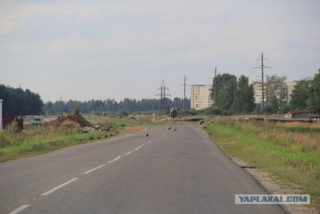 Фотоотчёт. Ивановская область.