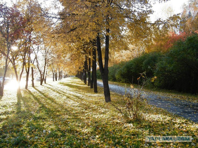 Новосибирск