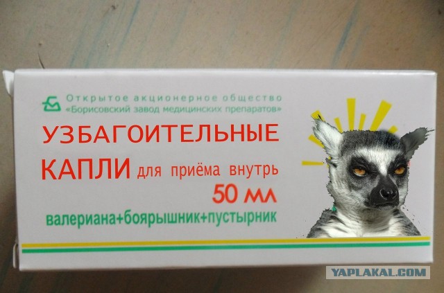Гимн луганских антифашистов(18+)