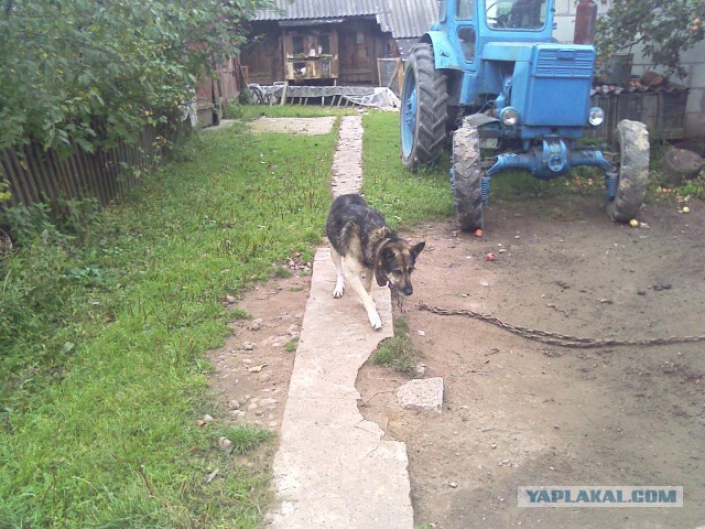 Мой ответ Польше!