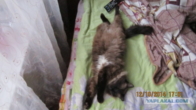 К нам пришел Успех!
