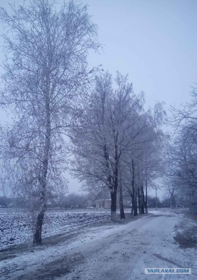 Деревенская Америка