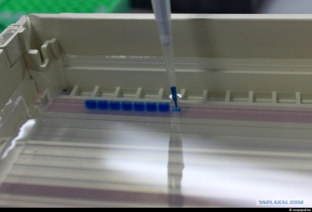 Один день врача-гепатолога в Японии