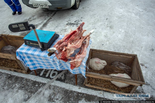 Продуктовые рынки в России и Китае