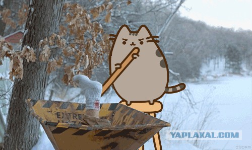 Вечерняя новость на форуме