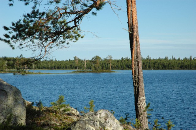 Деревенская Америка