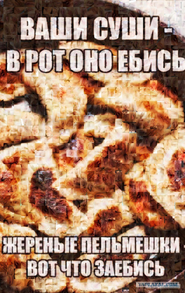 Пятничный пельмений