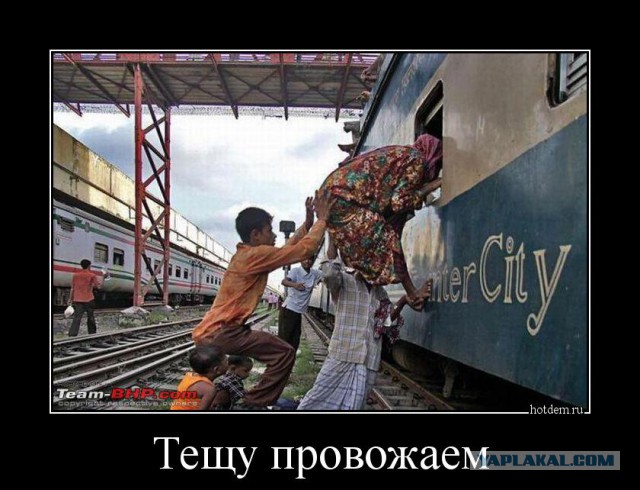 Веселые картинки