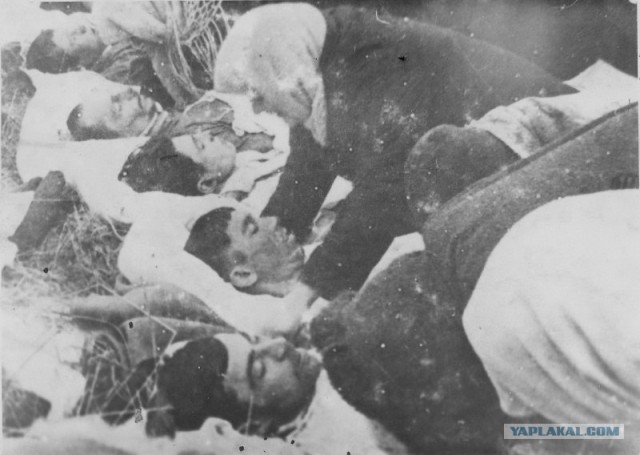 Русский солдат глазами гитлеровцев