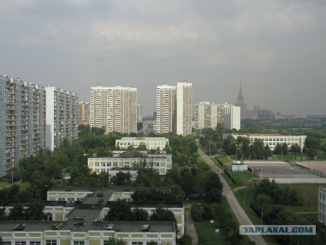 Здесь живут или выживают?