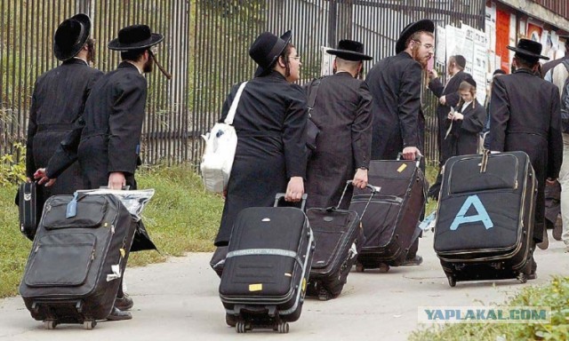 В немецкий город Клаузнитц приехали беженцы, их встречает толпа немцев