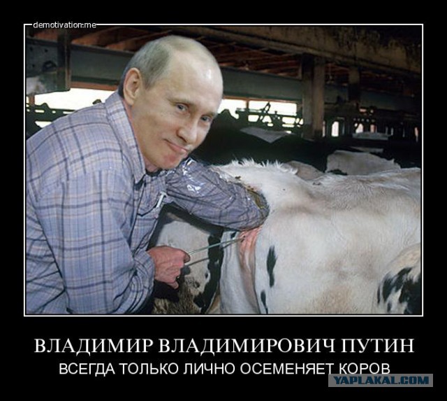 «По-моему, Путин - гений!»