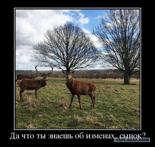 История измены жены без кармического возмездия