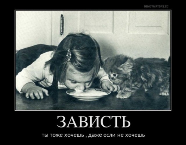 Неожиданная находка в погребе