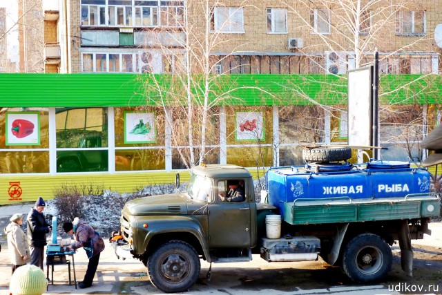 Советская рыба