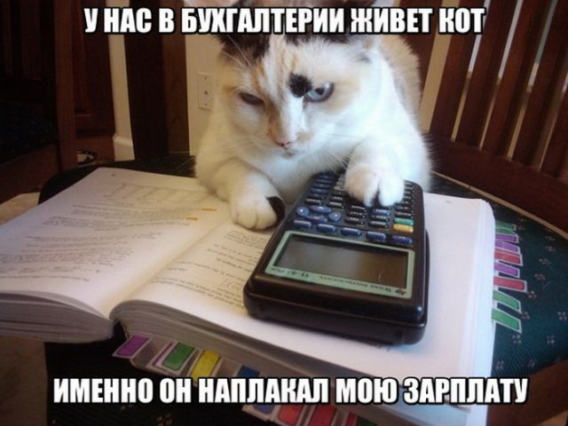 Подборка интересных и веселых картинок