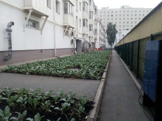 Подборка интересных и веселых картинок