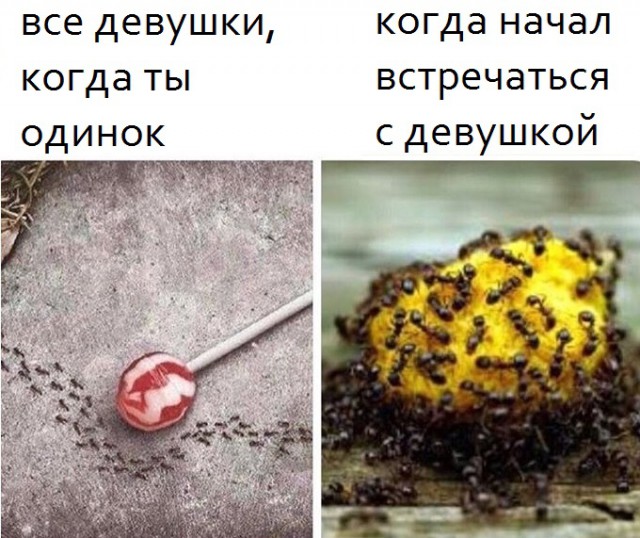 Чёрный вторник наступил! Тёмные силы вырвались на свободу...