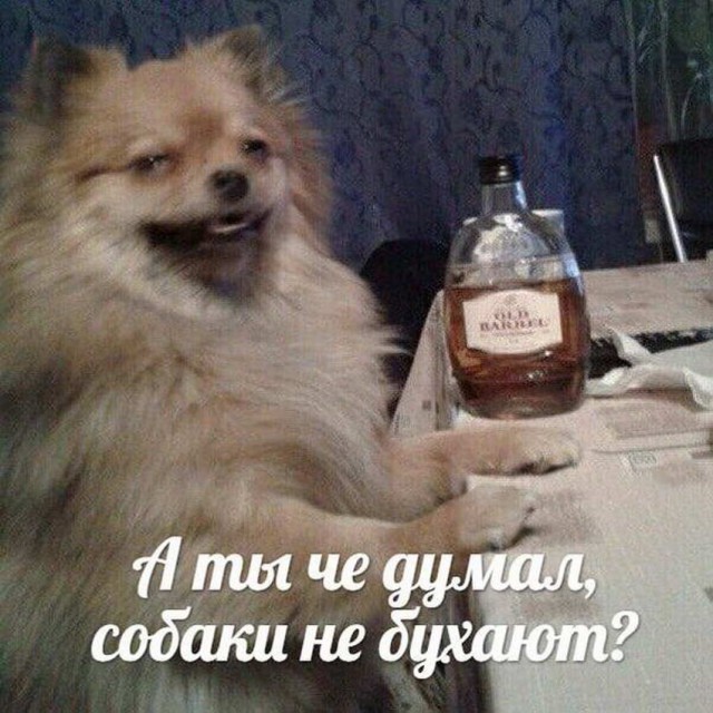 Картинки разные нужны, картинки всякие важны