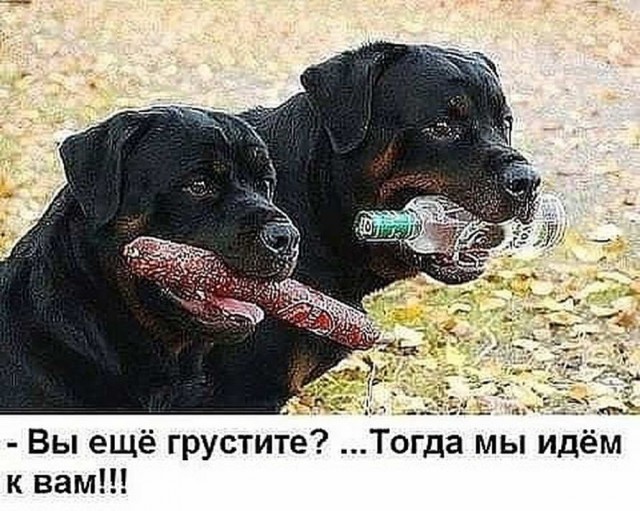 Немного картинок для настроения