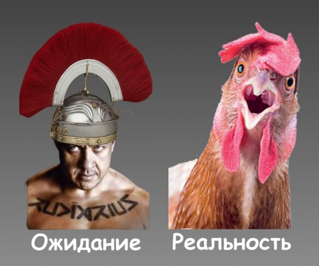 Нокаут Кокляева, смех Емельяненко и селфи Запашного. Фото с «главного боя года»