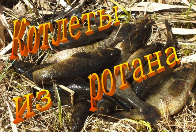 Котлеты из ротана