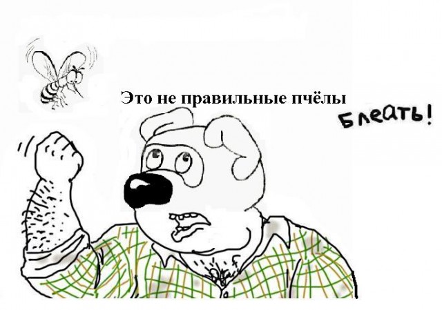 Будь мужиком, скажи что думаешь!