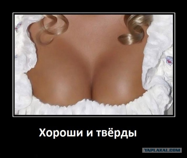 Фотожаба: "Забег"