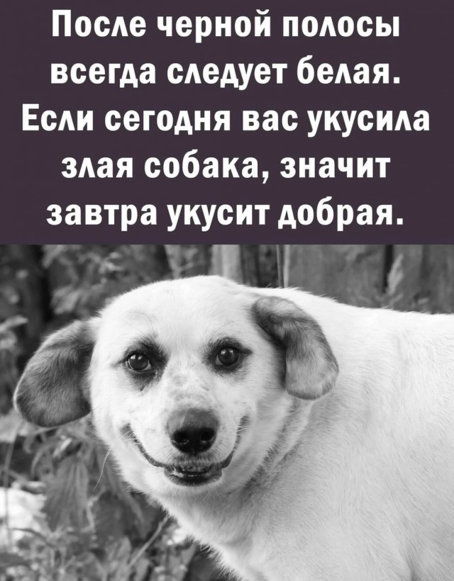 Так себе картинки 07.02.22