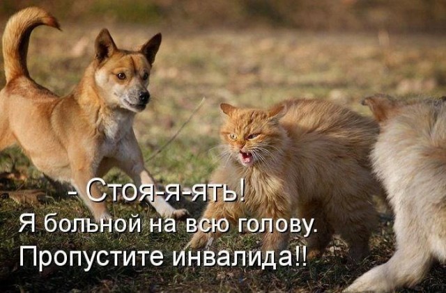 Немного картинок и прочей хреноты Vol. 6