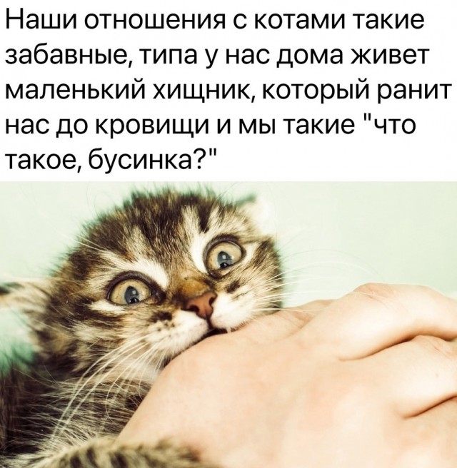 Так себе картинки 27.04.22