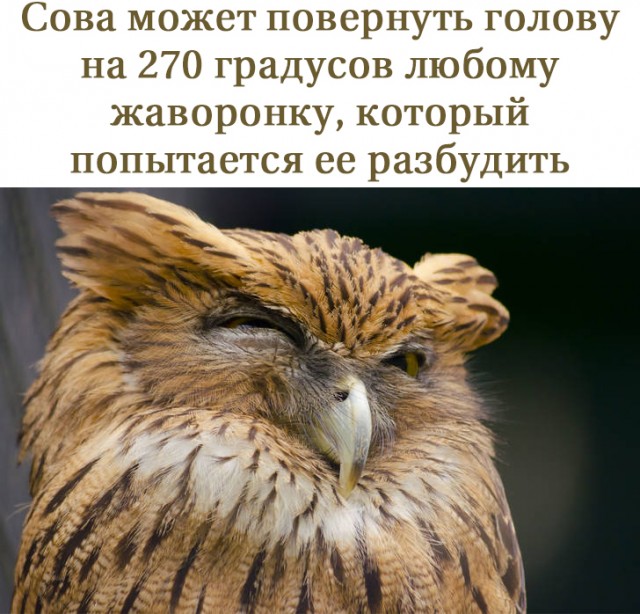 Немного картинок и прочей хреноты Vol. 14