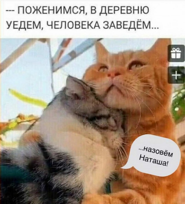 50 оттенков серого. Vol 16. Или самосвал баянов