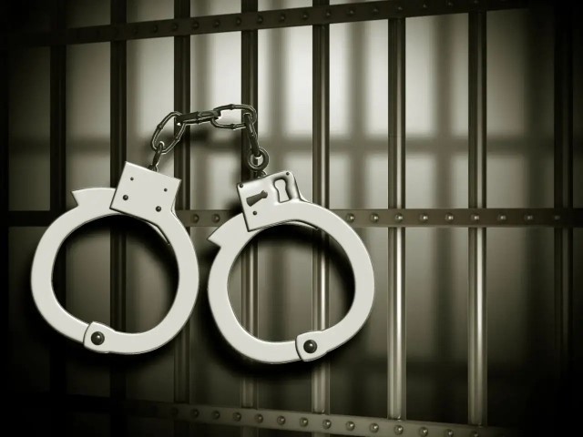 В Швейцарии начнут сажать за прогрев домов выше 19 градусов
