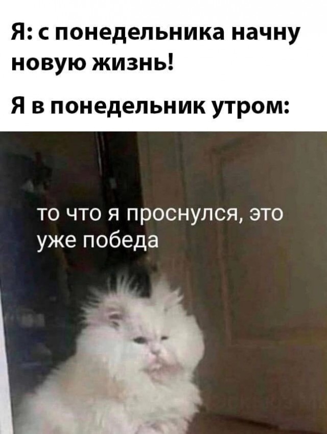 Юмор в картинках и без 04.10.2022