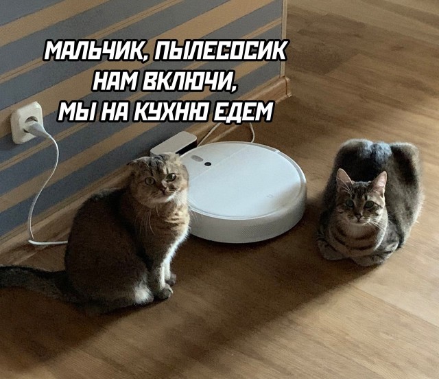 Так себе картинки 22.01.23