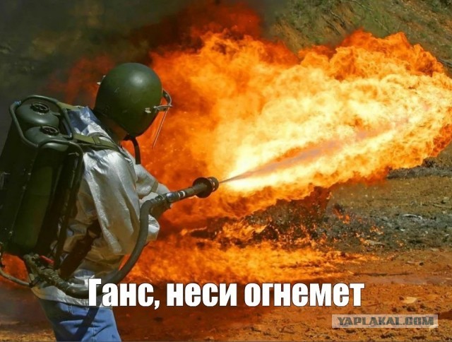 Гигантская сколопендра. Вьетнам.